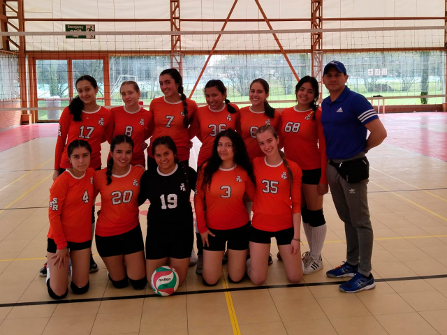 Voleibol