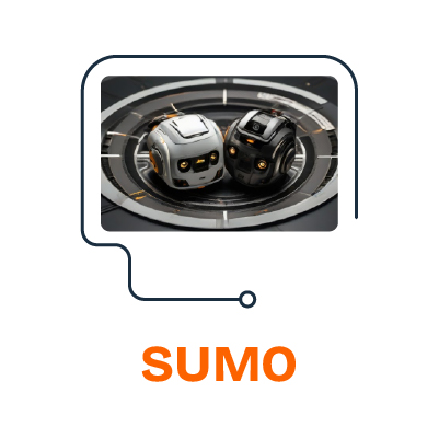 sumo.jpg