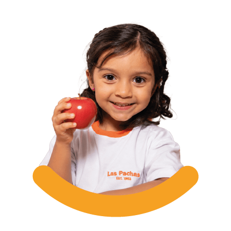 Alimentacion